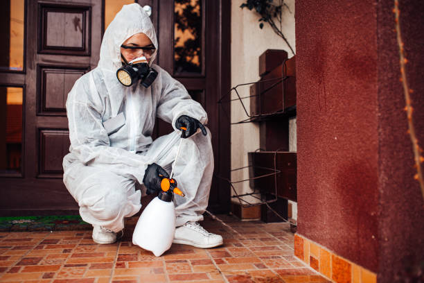 Reliable Wasp Removal contractor in Logansport, IN by Show Me Pest Control